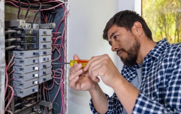 Best Residential Electrician Services  in Gorevle, IL